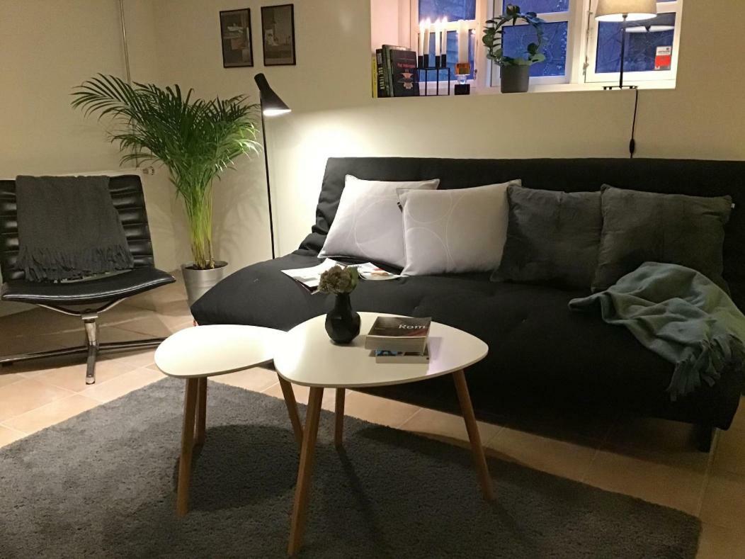 Special Offer,One Of Its Kind, Extremely Central In Herning, Danish Hosts, Extremely Clean, Very Quiet Street But A Stonethrough From Bars & Restaurants Apartment Exterior photo