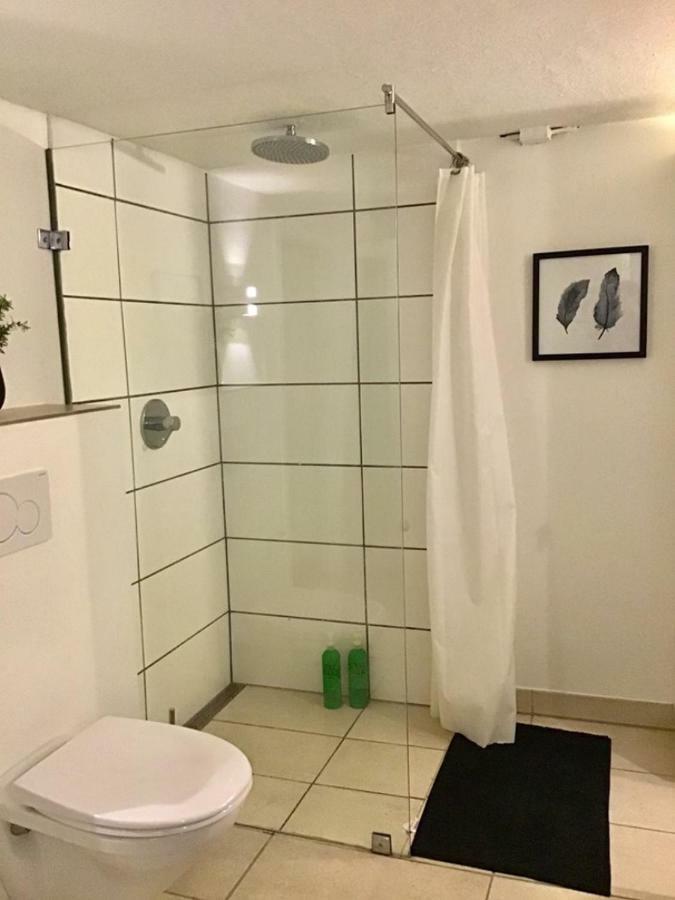 Special Offer,One Of Its Kind, Extremely Central In Herning, Danish Hosts, Extremely Clean, Very Quiet Street But A Stonethrough From Bars & Restaurants Apartment Exterior photo